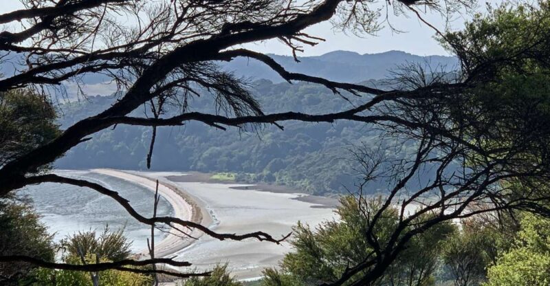 Waiheke Island: 5-Day Self-Guided Te Ara Hura Walk - An In-Depth Look at the Waiheke Island Self-Guided Walk