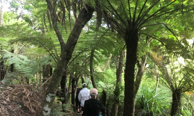 Waiheke Island: 5-Day Self-Guided Te Ara Hura Walk - The Sum Up: Who Is This Tour Perfect For?