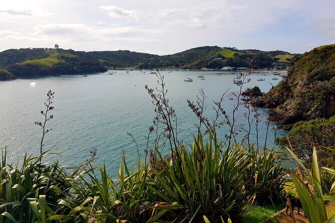 Waiheke Island 5 Day Self Guided Walking Adventure - Authenticity & Local Charm