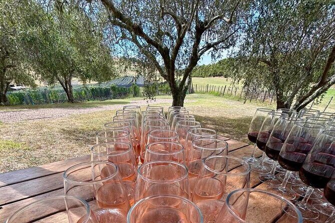 Waiheke Island Afternoon Wine Affair with VIP Lunch - Final Thoughts