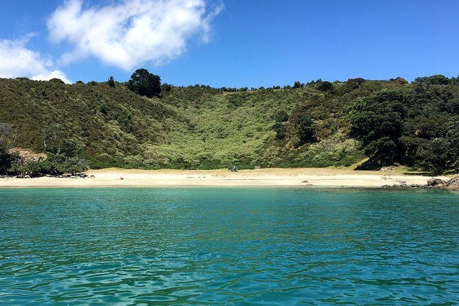 Waiheke Island Bush & Beach Walk - Exploring Waiheke Island with the Bush & Beach Walk Tour