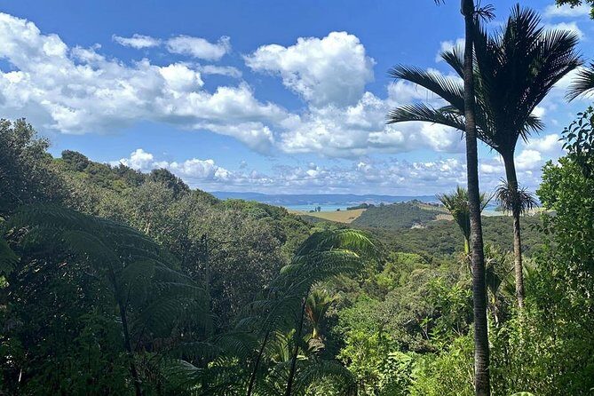 Waiheke Island Bush & Beach Walk - Final Thoughts