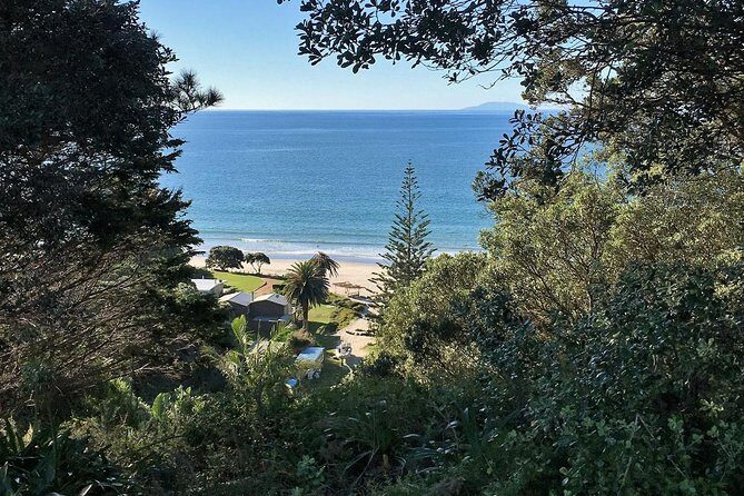Waiheke Island Bush & Beach Walk - Final Words