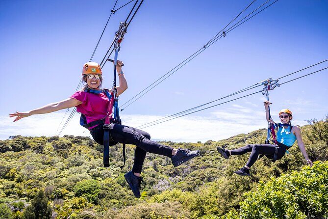 Waiheke Island Day Tour: Ziplining, Wine Tasting & Vineyard Lunch - Waiheke Island Day Tour: Ziplining, Wine Tasting & Vineyard Lunch