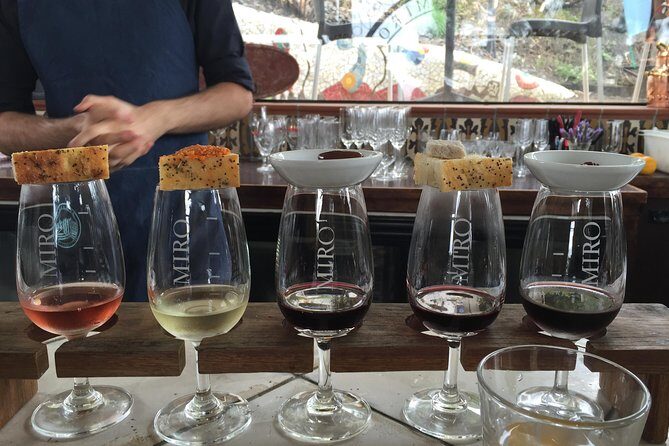 Waiheke Island Day Tour: Ziplining, Wine Tasting & Vineyard Lunch - Final Thoughts: Who Is This Tour Best For?