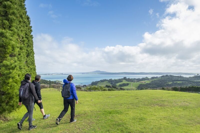 Waiheke Island: Double Headland Premium Guided Coastal Walk - Walk Through Waiheke’s Local Life