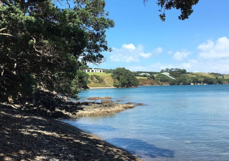 Waiheke Island: Double Headland Premium Guided Coastal Walk - Comfort and Practicalities