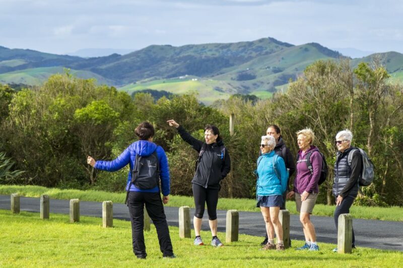 Waiheke Island: Double Headland Premium Guided Coastal Walk - Who Will Love This Tour?