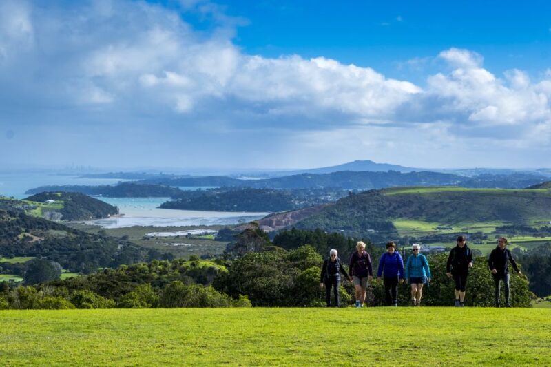 Waiheke Island: Double Headland Premium Guided Coastal Walk - The Sum Up