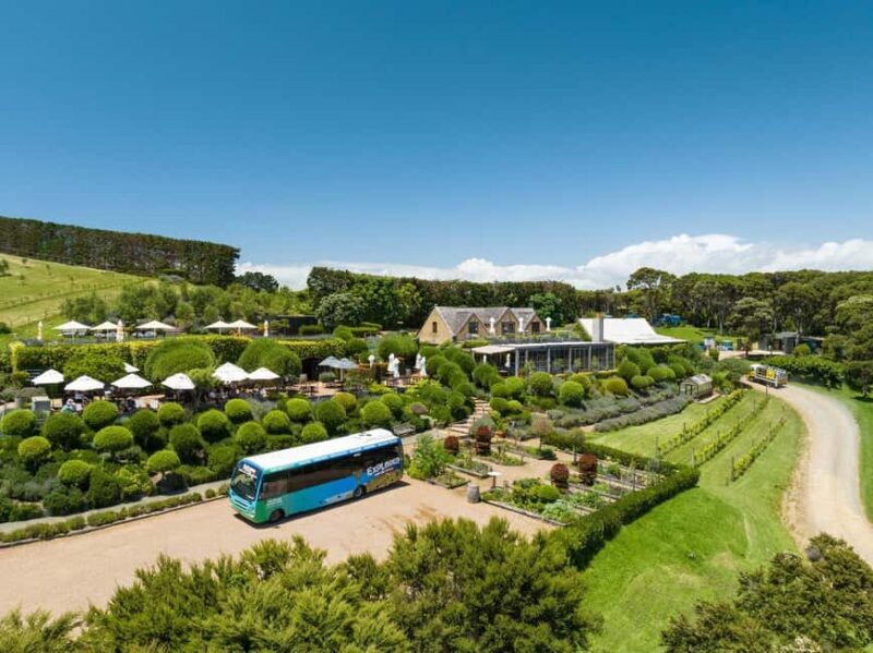 Waiheke Island: Ferry & Hop-On Hop-Off Explorer Bus Tickets - Waiheke Island: Ferry & Hop-On Hop-Off Explorer Bus Tickets