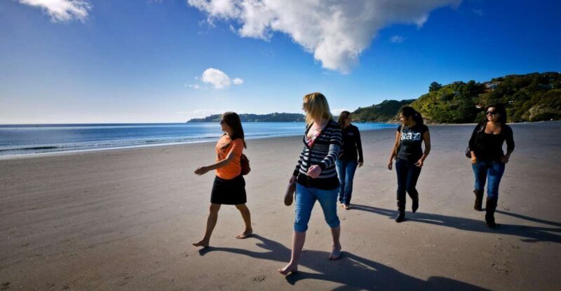 Waiheke Island: Ferry & Hop-On Hop-Off Explorer Bus Tickets - FAQ