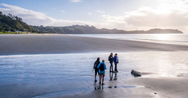 Waiheke Island: Forest and Beach Premium Guided Walk - An Authentic, Relaxed Way to Discover Waiheke