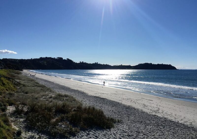 Waiheke Island: Forest and Beach Premium Guided Walk - Who Will Love This Tour?