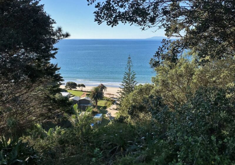 Waiheke Island: Forest and Beach Premium Guided Walk - FAQ