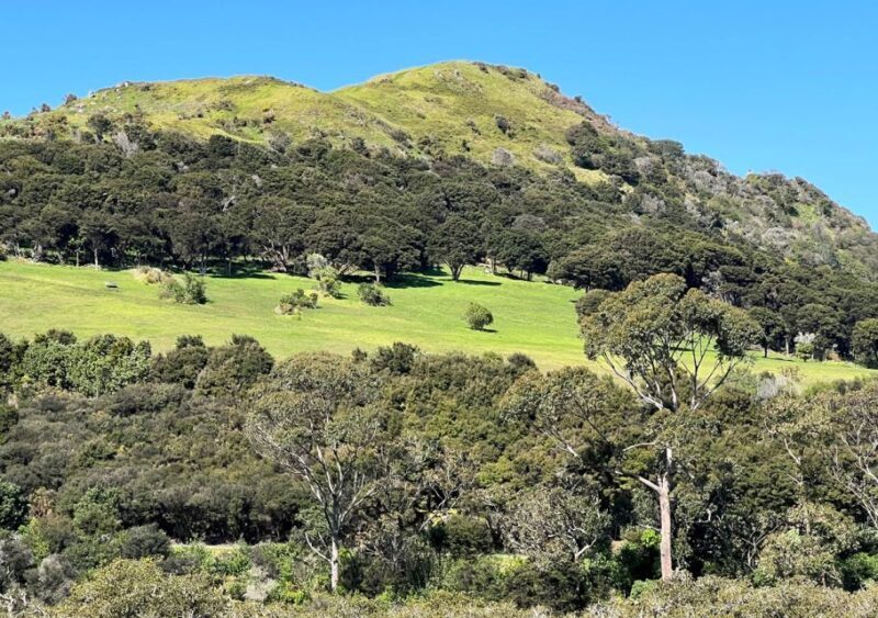 Waiheke Island: Full Day Guided History and Heritage Tour - Final Thoughts: Is This Tour Right for You?