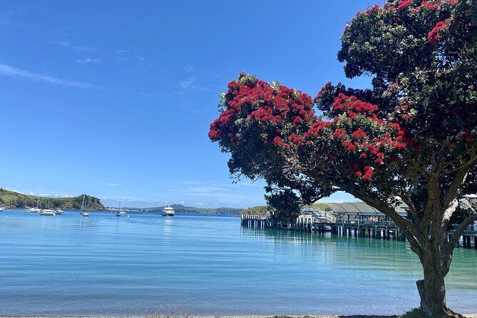 Waiheke Island Gourmet Food and Wine Tour - The Itinerary Breakdown: What to Expect