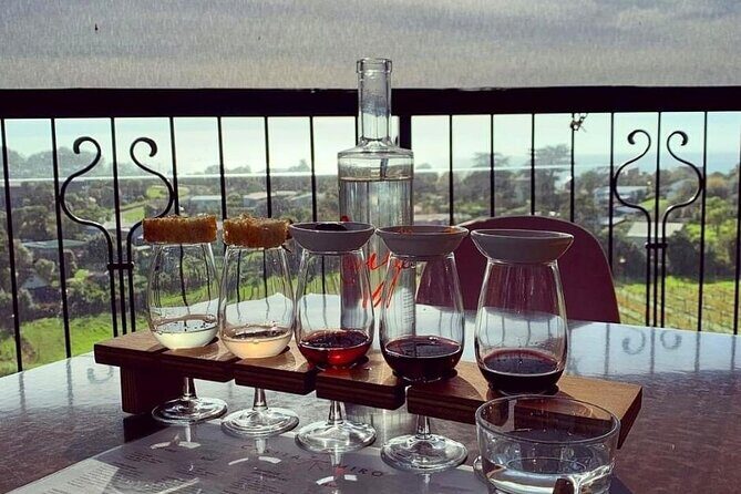 Waiheke Island Gourmet Food and Wine Tour - Who Would Love This Tour?
