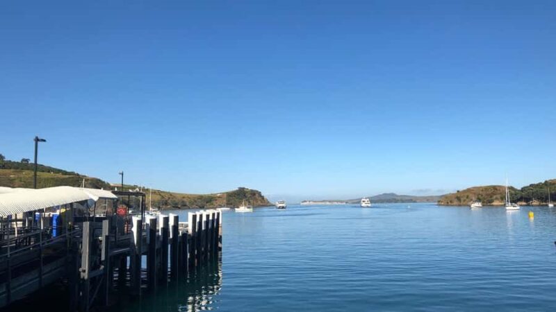 Waiheke Island Gourmet Food and Wine Tour with Lunch - Key Points