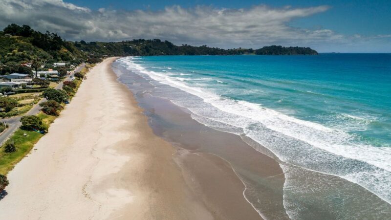 Waiheke Island Gourmet Food and Wine Tour with Platter Lunch - Key Points