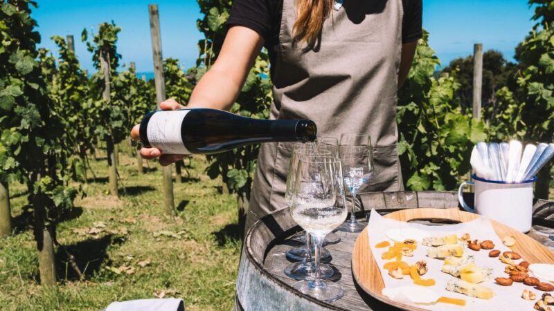 Waiheke Island Gourmet Food and Wine Tour with Platter Lunch - Final Thoughts