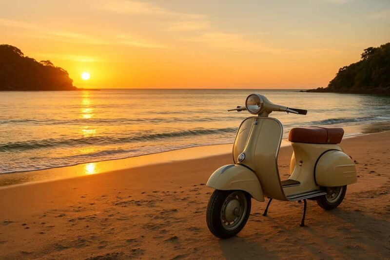 Waiheke Island: Guided Luxury Wine Tour with Tastings - Key Points