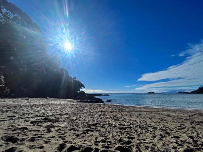 Waiheke Island: Guided Luxury Wine Tour with Tastings - What Makes This Tour Special?