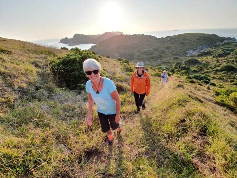 Waiheke Island: Gulf Marine Park Sailing Adventure & Lunch - Authentic Reviews & Insights