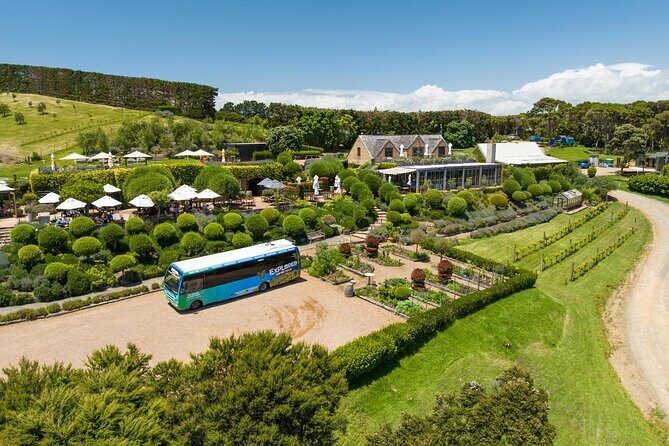 Waiheke Island Hop-On Hop-Off Explorer Bus - Final Thoughts