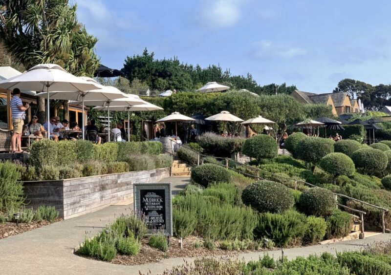 Waiheke Island: Premium Vineyard, Wine Tasting and Bush Walk - Who Will Love This Tour?