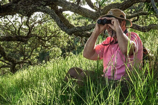 Waiheke Island Private Birding Tour - Review of the Waiheke Island Private Birding Tour