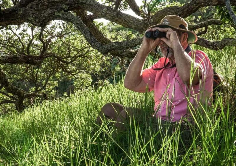 Waiheke Island: Private Birding Tour | Terra & Tide - The Value of the Tour Components
