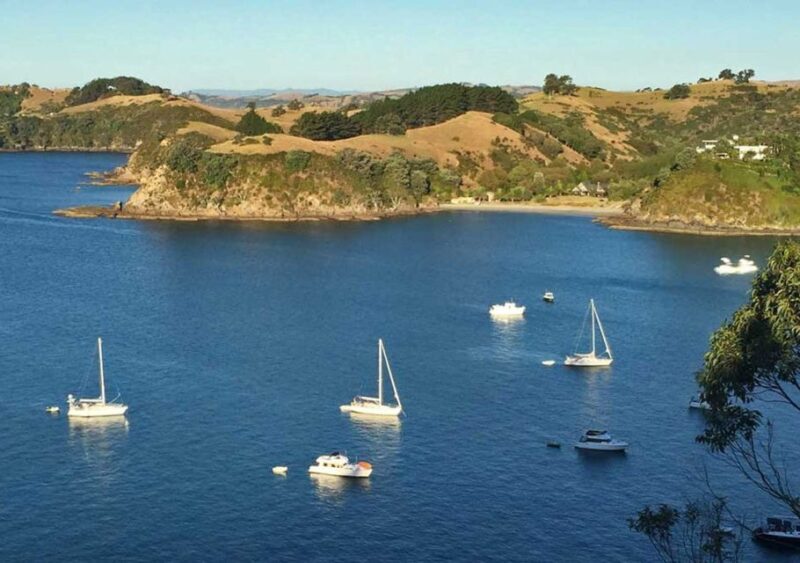 Waiheke Island: Private Guided Te Ara Hura 5-Day Walk - The Value of the Experience