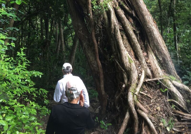 Waiheke Island: Private Guided Te Ara Hura 5-Day Walk - Final Thoughts