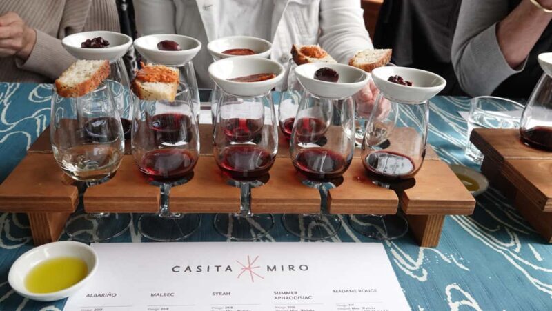 Waiheke Island: Scenic PREMIUM Wine Tour. Max 11 clients - Key Points  