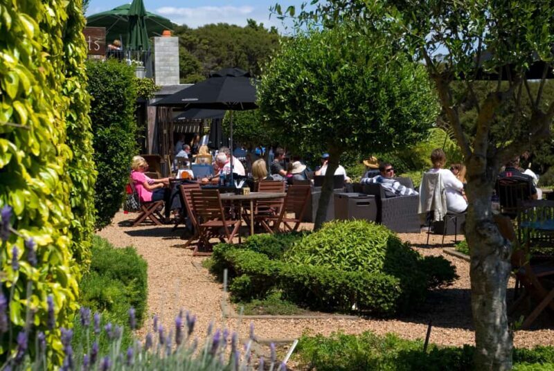 Waiheke Island: Scenic PREMIUM Wine Tour. Max 11 clients - An In-depth Look at the Waiheke Island Premium Wine Tour
