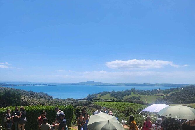 Waiheke Island Scenic Wine Tour with Gourmet Beachfront Lunch - Waiheke Island Scenic Wine Tour with Gourmet Beachfront Lunch: An In-Depth Review