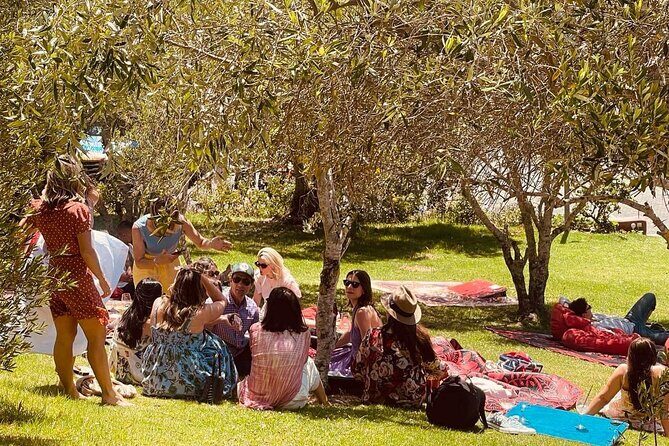Waiheke Island Scenic Wine Tour with Gourmet Beachfront Lunch - Key Points