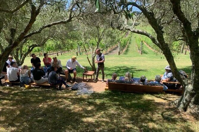 Waiheke Island Scenic Wine Tour with Gourmet Beachfront Lunch - Authentic Guest Insights