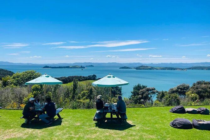 Waiheke Island Scenic Wine Tour with Gourmet Beachfront Lunch - The Sum Up: Who Is This Tour Best For?