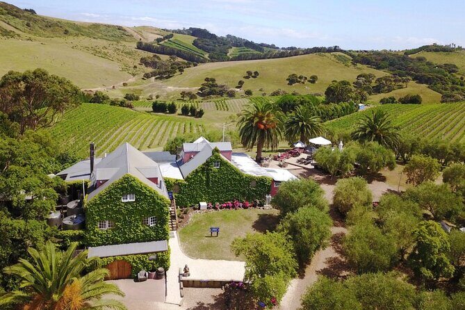 Waiheke Island Scenic Wine Tour with Gourmet Beachfront Lunch - FAQ
