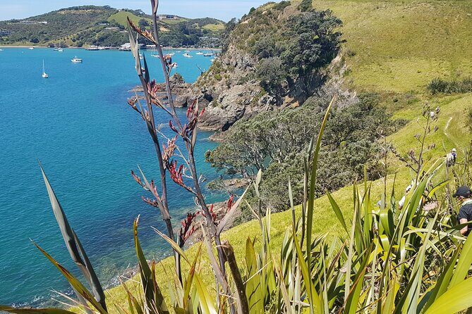 Waiheke Island Self Guided 4 Day Walking Adventure - Accommodation and Meals