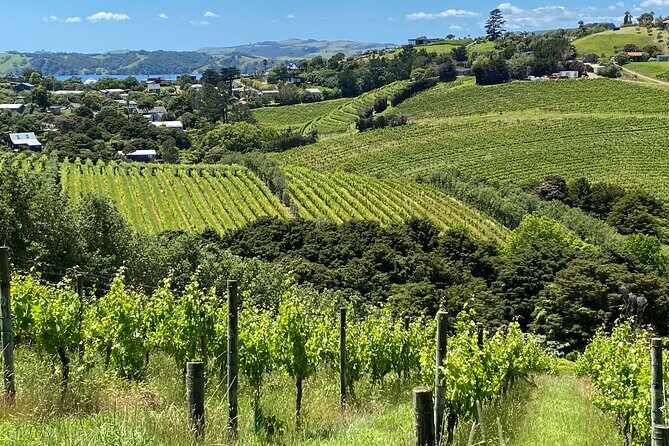 Waiheke Island: Sip & Savour Tour - Exploring Waiheke Island: What to Expect on the Sip & Savour Tour