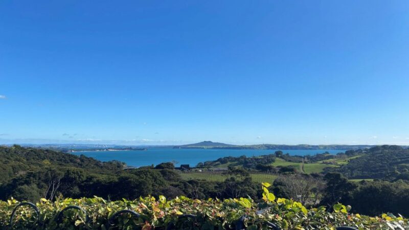 Waiheke Island: The Essence of Waiheke Wine Tour - Experience Overview: Why This Tour Stands Out