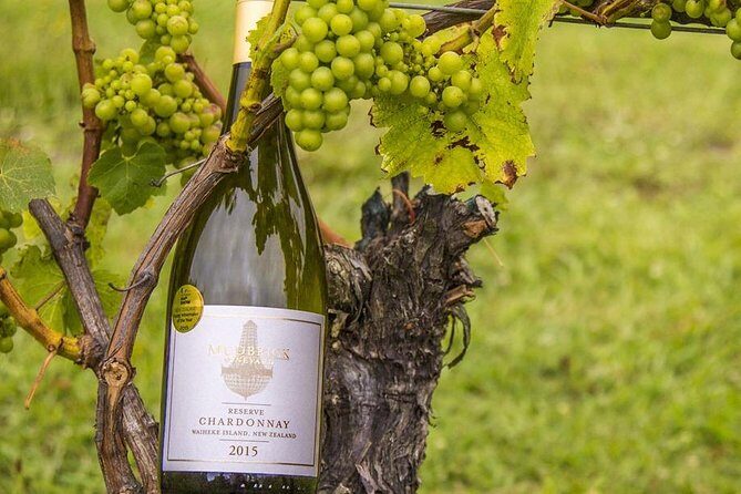 Waiheke Island Vineyards and Bush Walk - Who Would Love This Tour?