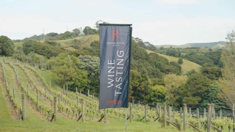 Waiheke Island: Wine, Gin, and Olive Oil Tour with Lunch - Discovering Waiheke Island Through Its Flavors