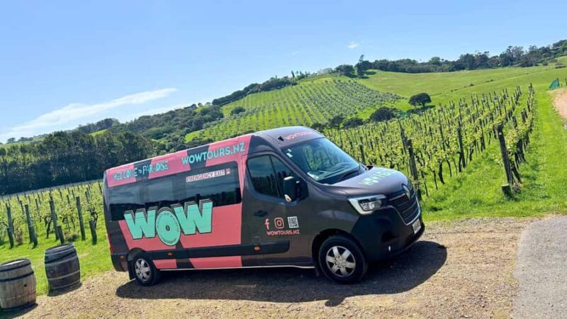 Waiheke Island: Wine, Gin, and Olive Oil Tour with Lunch - What We Love About This Tour