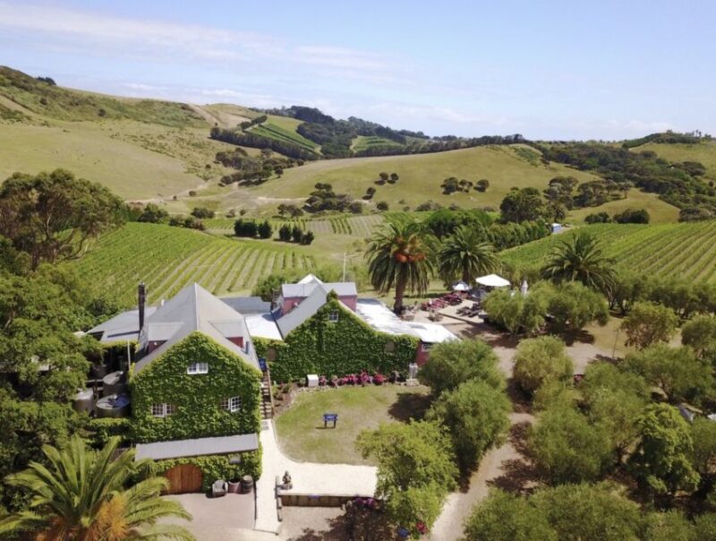 Waiheke Island: Wine Tour & Lunch at Award Winning Venue - Key Points