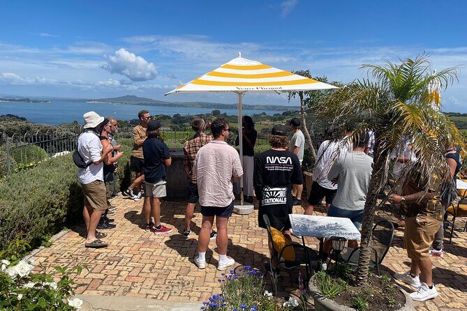 Waiheke Island Wine Tour with Scenic Vineyards & Tastings - Who is This Tour Best For?