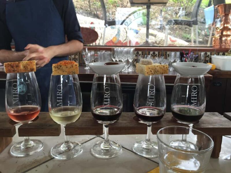 Waiheke Island Wine Tours - PREMIUM Wines - Max 11 clients ! - Key Points