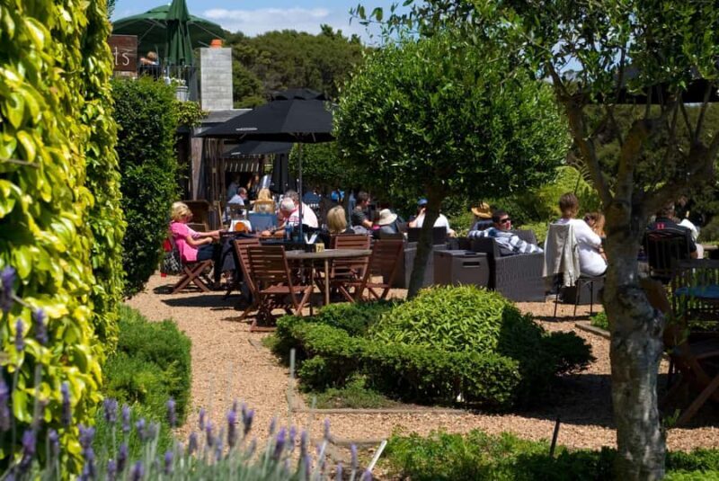 Waiheke Island Wine Tours - PREMIUM Wines - Max 11 clients ! - An in-depth Look at Waiheke Island Wine Tours